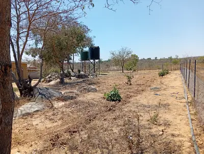 The plot before the rain pipe went in