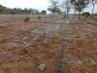 The field after a full run: even watering across the beds